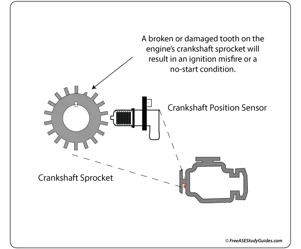 Crankshaft position sensor's circuit or a damaged reluctor ring could result in a no-start condition.