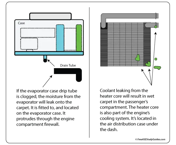 Evaporator case and drip tube.