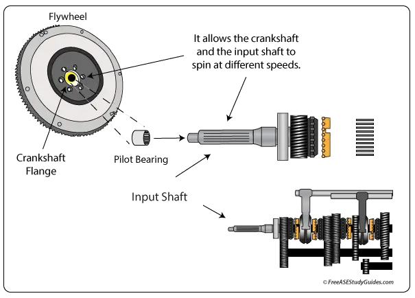 Clutch Pilot Bearing Noise Squeal