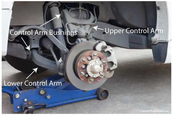 Control Arm Bushings are located between the contol arm and the vehicle's frame.