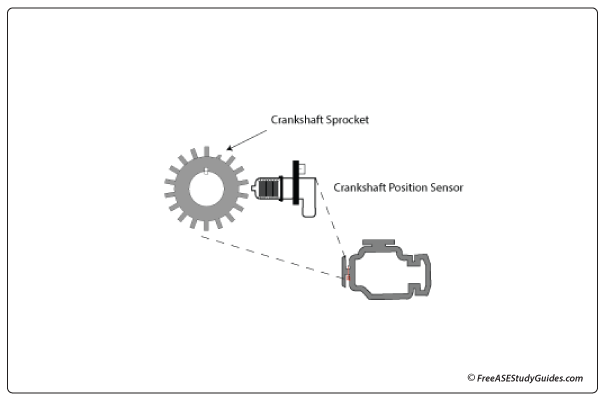 Crankshaft Position Sensor