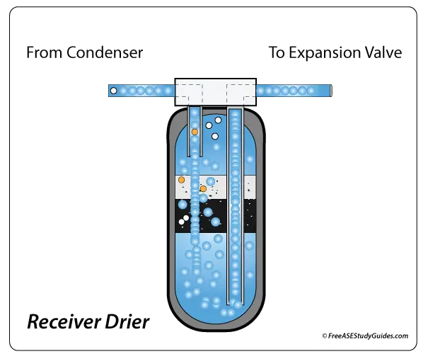 The receiver drier acts as a liquid refrigerant storage tank.