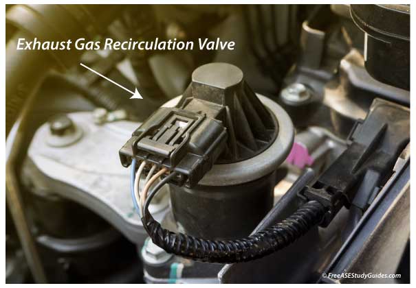 EGR valve