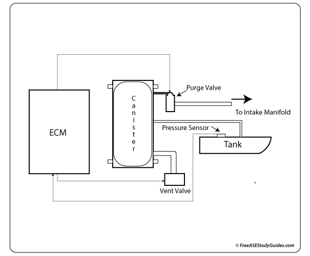 EVAP Evaporative Emissions