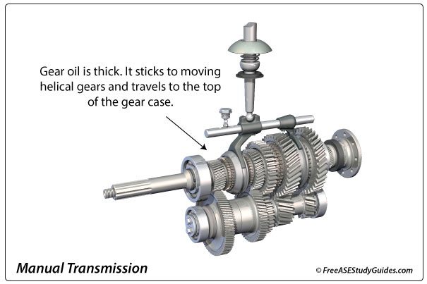 Manual transmission gear oil is thick.