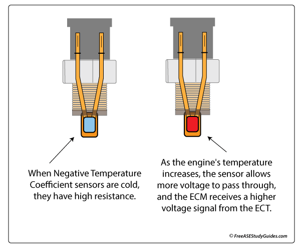 Ect Sensor Resistance Chart