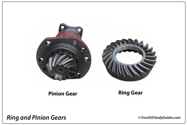 Ring and pinion gears.