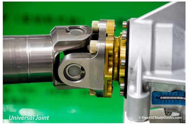 Universal Joint