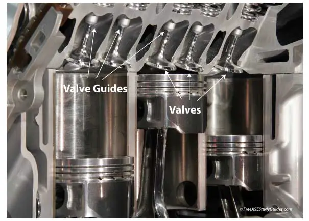 Engine cutaway view of valves and valve guides.